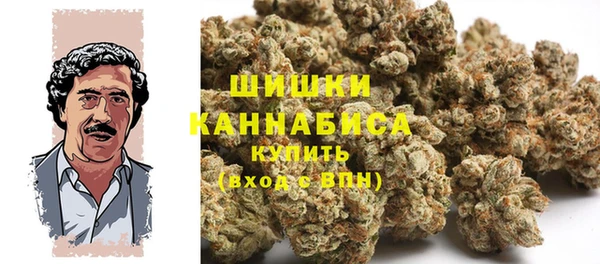 молекула духа Балахна
