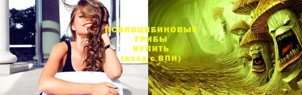 молекула духа Балахна