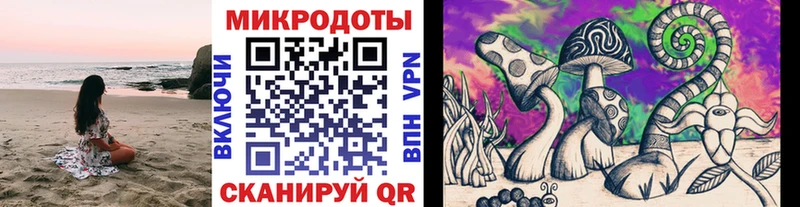 Псилоцибиновые грибы Psilocybine cubensis  Голицыно 